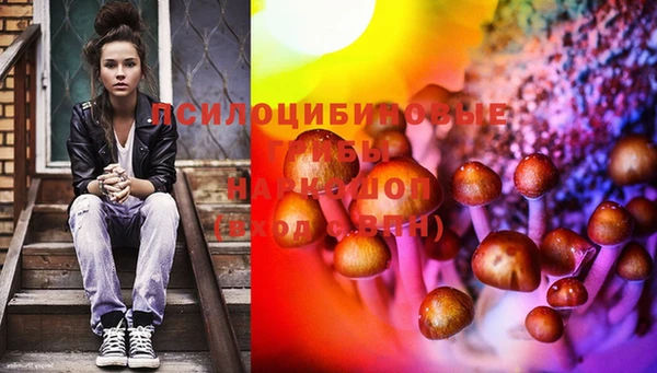 дурь Белоозёрский