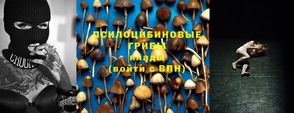 PSILOCYBIN Богданович