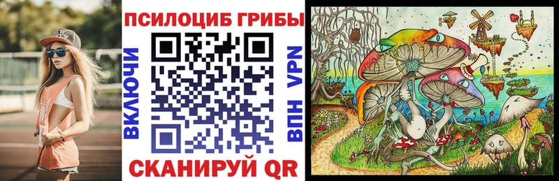 где продают наркотики  Семилуки  Галлюциногенные грибы мухоморы 